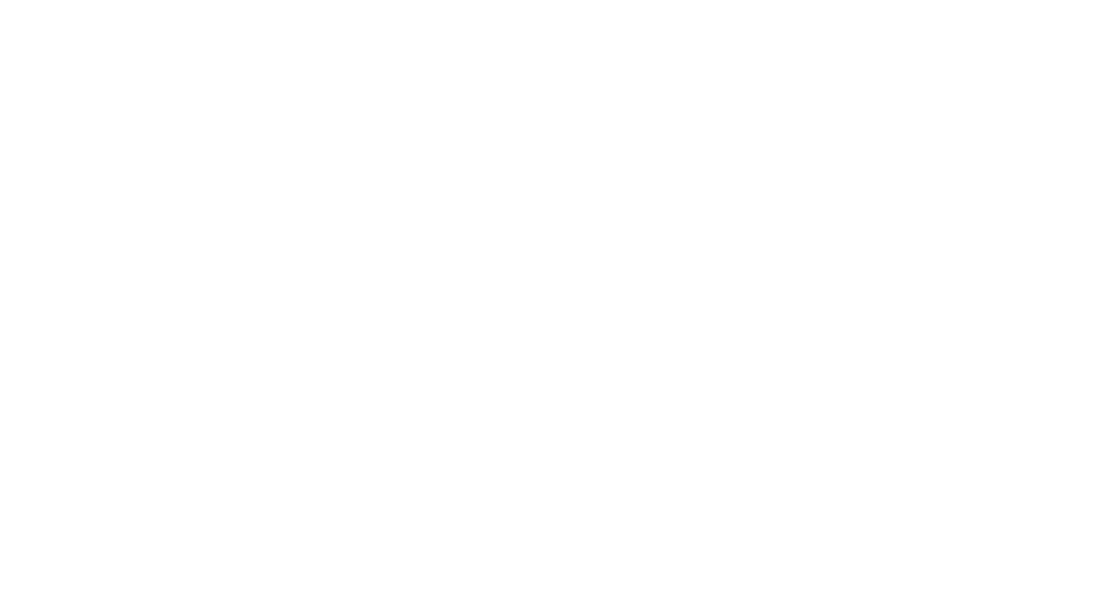 Vision Electric Wholesale, Inc. White Logo